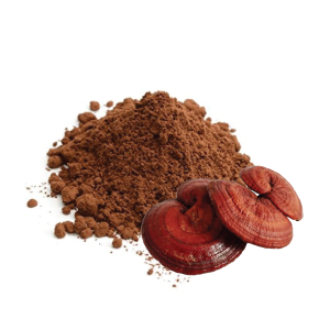 Reishi